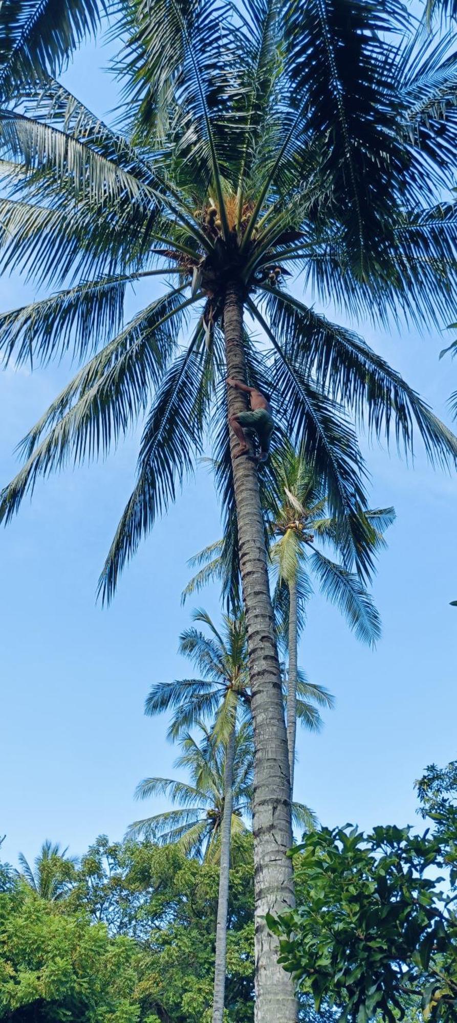 Lendang Eco Lodge Senggigi Cameră foto